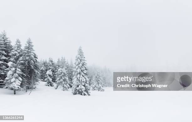 gebirgslandschaft im winter - neve profunda imagens e fotografias de stock