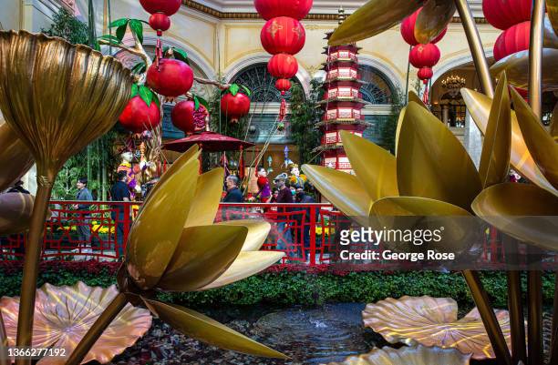 237 Las Vegas Chinese New Year Stock Photos, High-Res Pictures