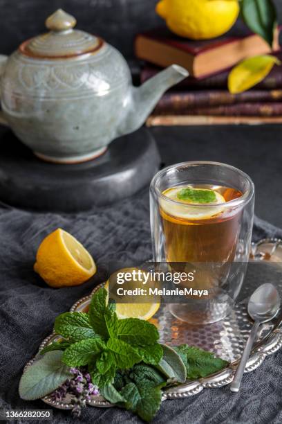 Selavi Tea Salvia Tea Photos and Premium High Res Pictures - Getty Images