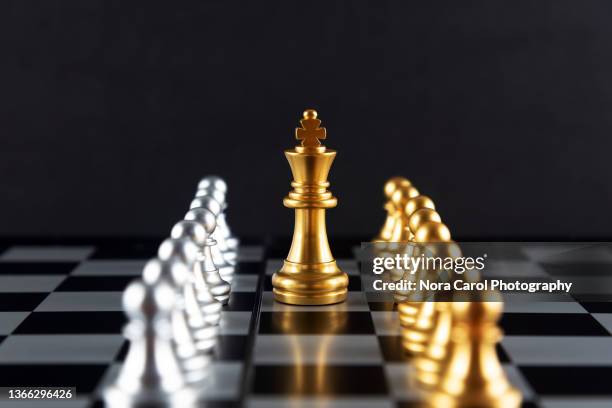 golden chess king and pawn with silver colored pawn - king chess piece stock-fotos und bilder