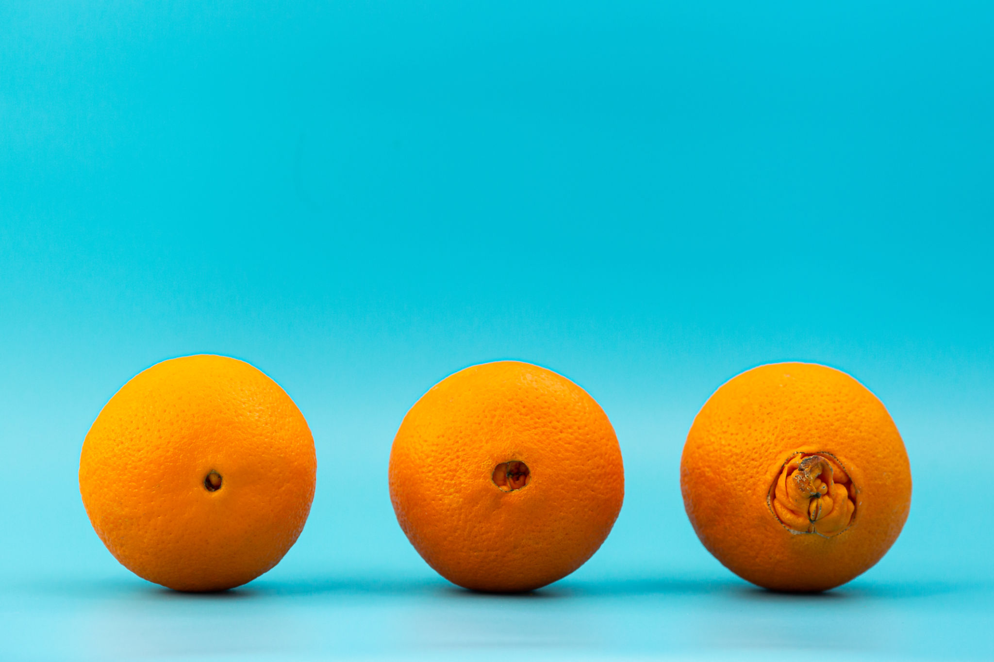 ugly and normal oranges on a blue background, concept of different stages of hemorrhoids. ugly and normal oranges on a blue background, concept of different stages of hemorrhoids.