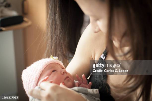 close up of a newborn baby girl wearing a pink woolly hat wrapped up in a blanket trying to open her eyes to look at her mom while on her arms as she holds her tiny hand in a flat in edinburgh, scotland, uk - girls in bras photos stock pictures, royalty-free photos & images