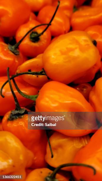 bell pepper colored - orange bell pepper fotografías e imágenes de stock