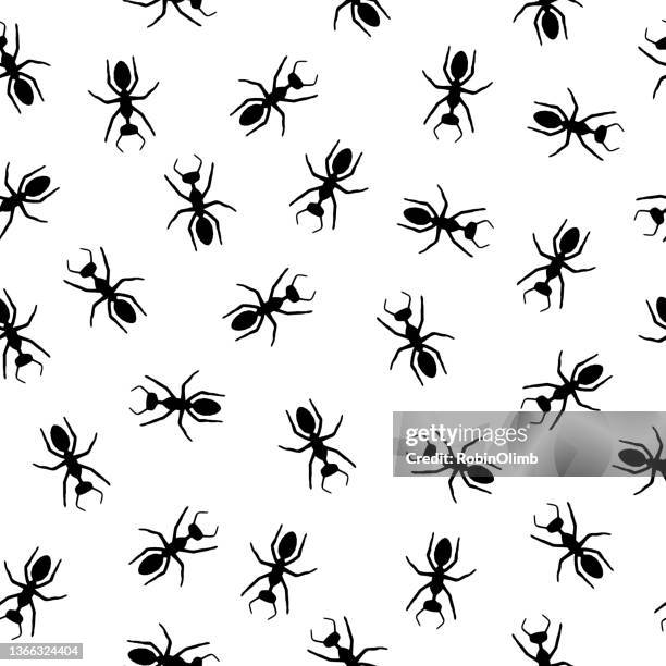 576 Anthill Ants Stock Photos, High-Res Pictures, and Images - Getty Images