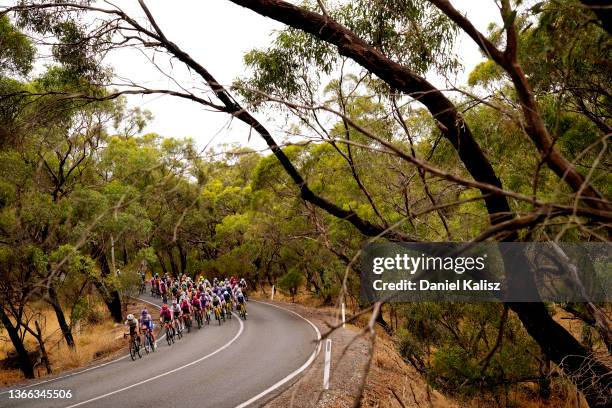 The peloton passing through a forest landscape during the 2nd Santos Festival Of Cycling 2022, Women's Elite Stage 1 a 85.4km stage from Tanunda to...