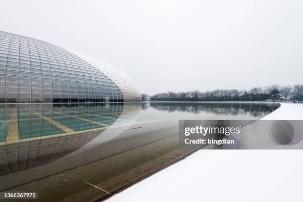 national centre for the performing arts, beijing, china - performing arts center stock pictures, royalty-free photos & images