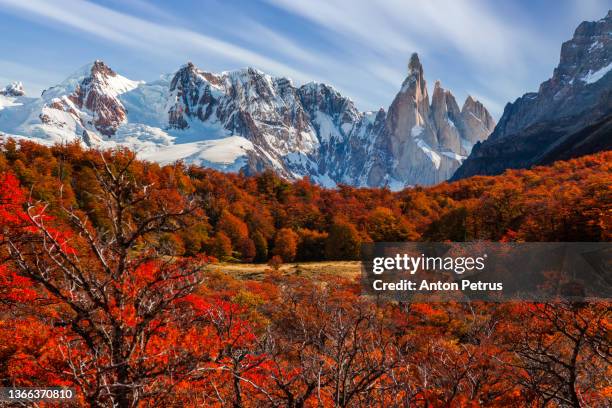 autumn at cerro torre. patagonia, argentina - argentina-america-del-sud foto e immagini stock
