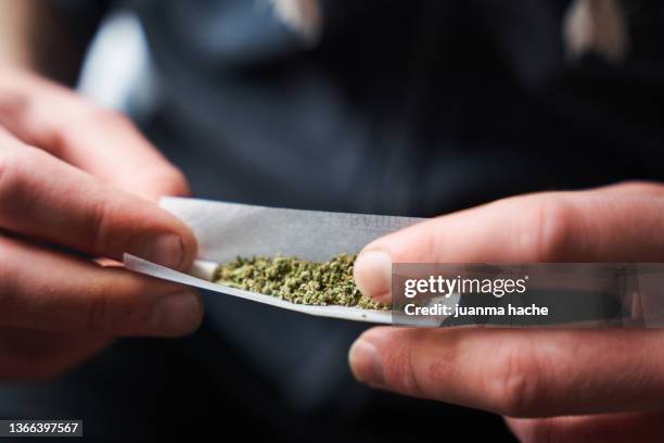 close-up of young adult man rolling a marijuana joint on blur background. - cáñamo fotografías e imágenes de stock