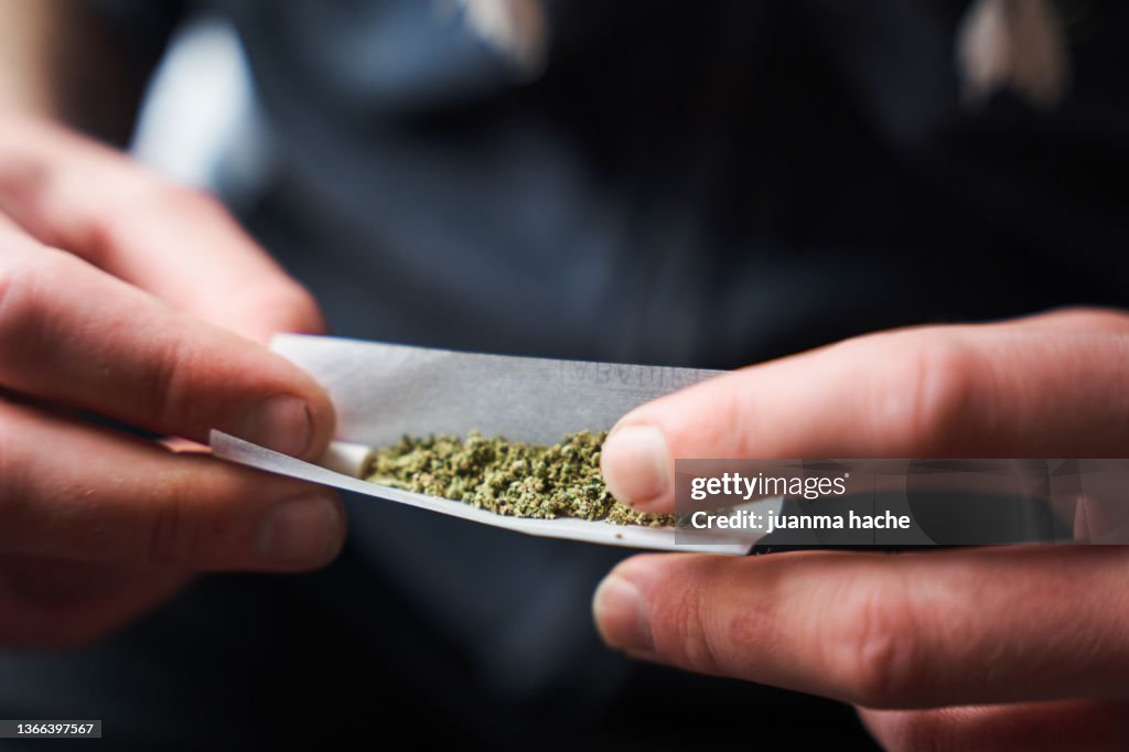 Close-up of young adult man rolling a marijuana joint on blur background.