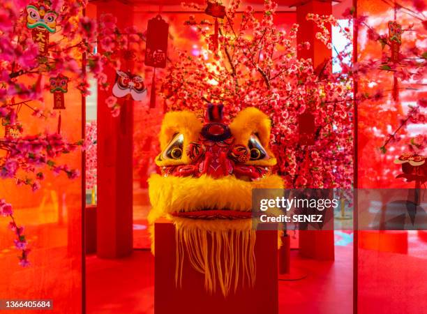 chinese new year festivities, traditional tiger dancing costumes - anno della tigre foto e immagini stock