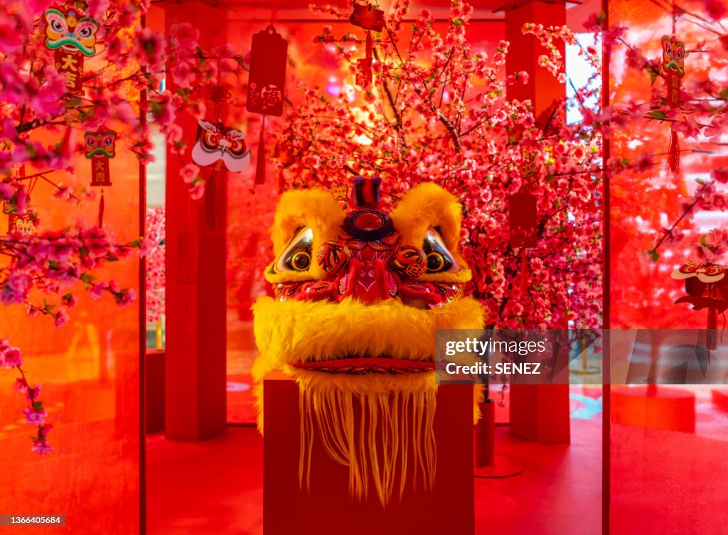 Chinese New Year Festivities, Traditional Tiger Dancing Costumes