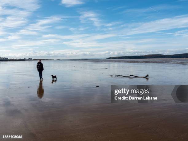 female dog walker on beach - weston super mare stock pictures, royalty-free photos & images