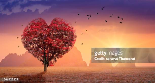 heart tree love for nature red landscape at sunset - legno rosa foto e immagini stock