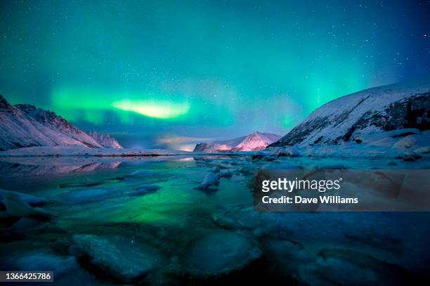norwegian aurora - aurora borealis lofoten stock-fotos und bilder