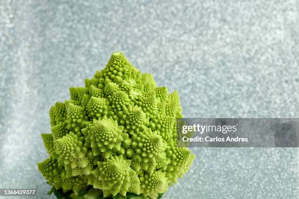 green romanesco broccoli on silver background, with copy space - chou romanesco stock pictures, royalty-free photos & images