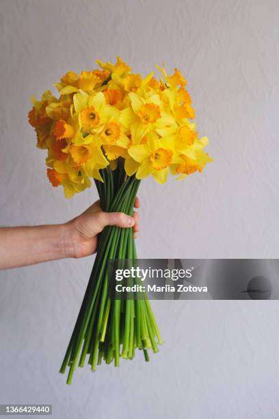 a bouquet of yellow spring flowers in a man's hand - daffodil ストックフォトと画像