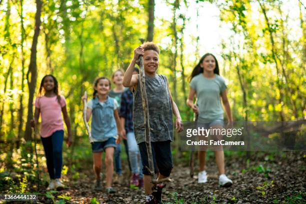 children hiking in the woods - kids hiking stock pictures, royalty-free photos & images