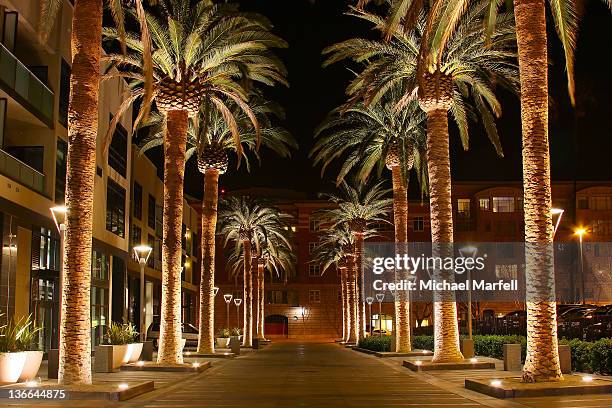 palm row - santa clara california foto e immagini stock