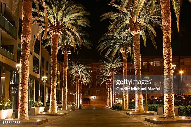 palm row - san jose california stock pictures, royalty-free photos & images
