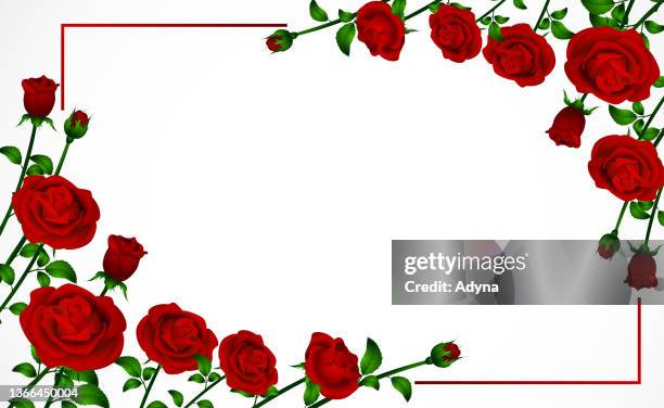 abstract rose frame - red rose stock illustrations