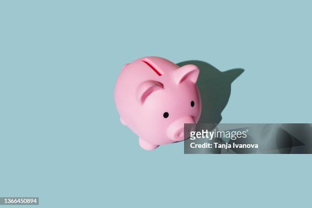 piggy bank on blue background - sparschwein stock-fotos und bilder
