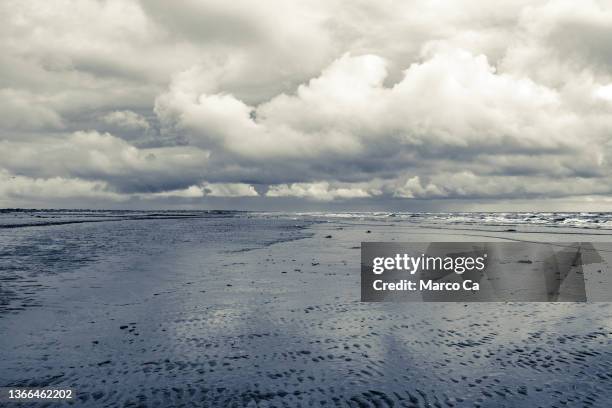 seascape on the north sea coast in black and white - wadden sea stock pictures, royalty-free photos & images