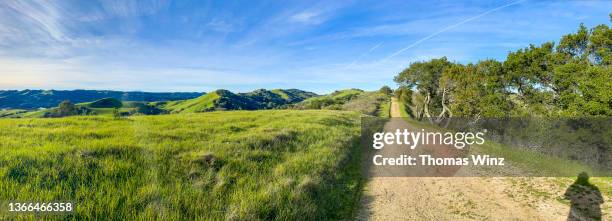 footpath through briones watershed - east bay regional park stock pictures, royalty-free photos & images