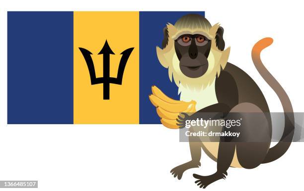 939点の猿 バナナのストックフォト Getty Images 939点の猿 バナナのストックフォト Getty Images