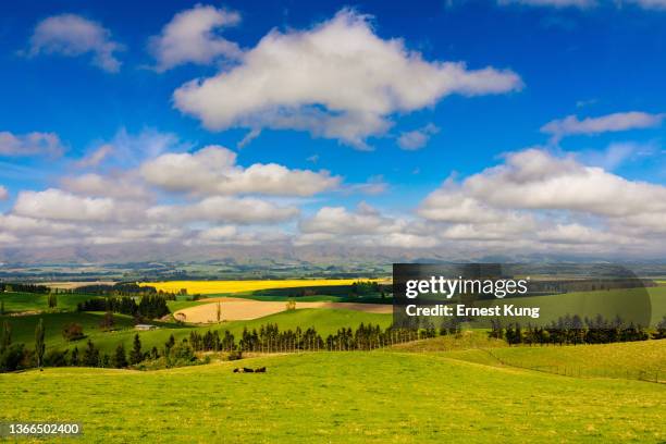 fairlie viewed from allandale, aotearoa new zealand, spring, day - new zealand rural stockfoto's en -beelden