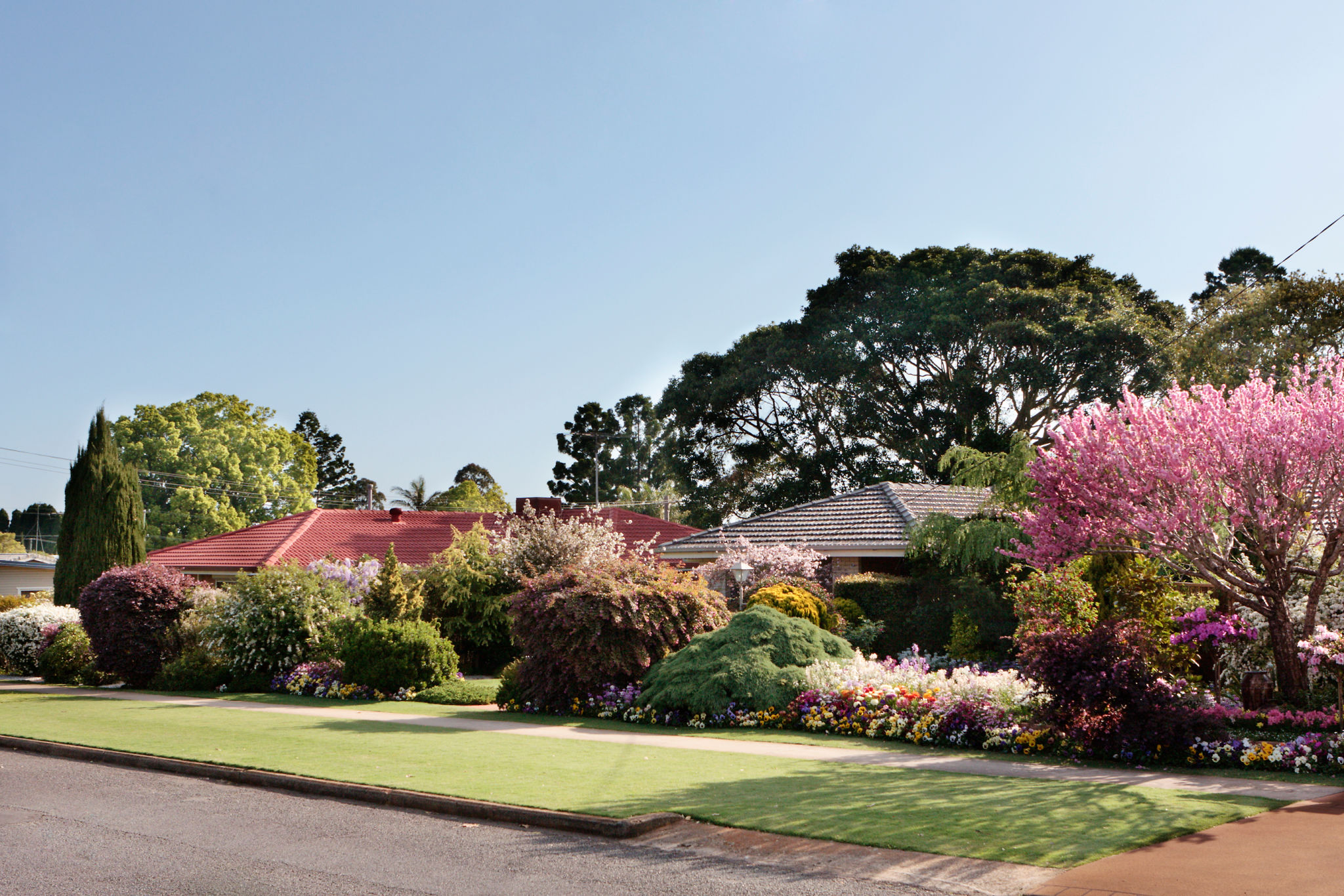Beautiful gardens in spring on a suburban street Beautiful gardens in spring on a suburban street