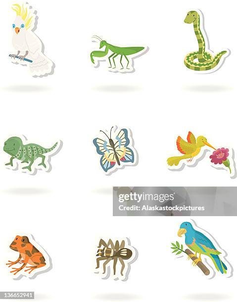 illustrations, cliparts, dessins animés et icônes de autocollant animal exotique. - swallowtail butterfly