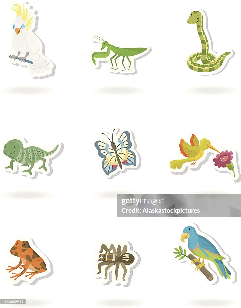 Tropical animal sticker.