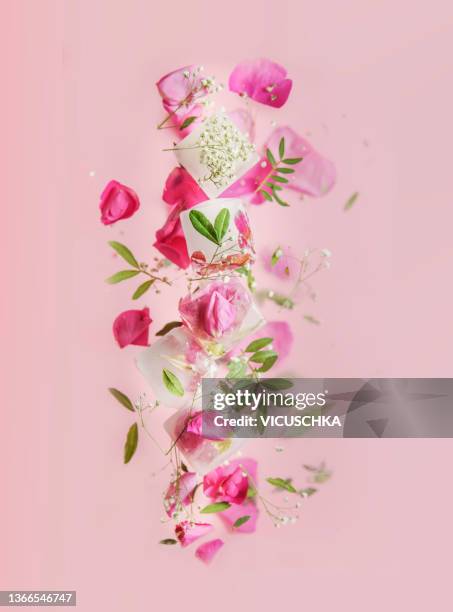 falling ice cubed with pink flower petals and green leaves in motion with blurred effects at pink background - rose petals stock-fotos und bilder