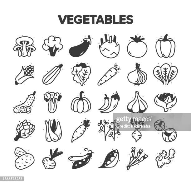 vegetables related hand drawn vector doodle icon set - fennel stock illustrations