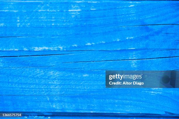 Bark Blue Color 3,095 Bark Blue Stock Photos, High-Res Pictures, and Images - Getty Images