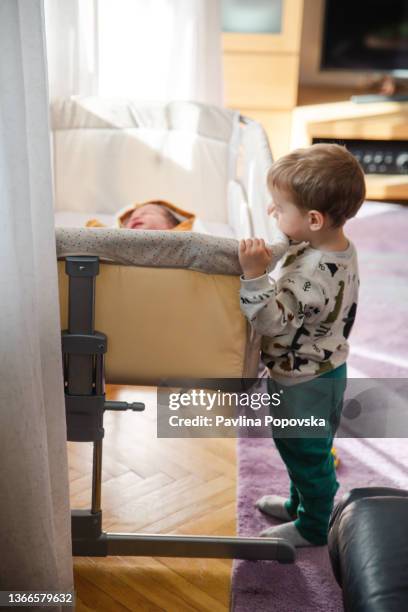 hi little brother - baby arrival stock pictures, royalty-free photos & images