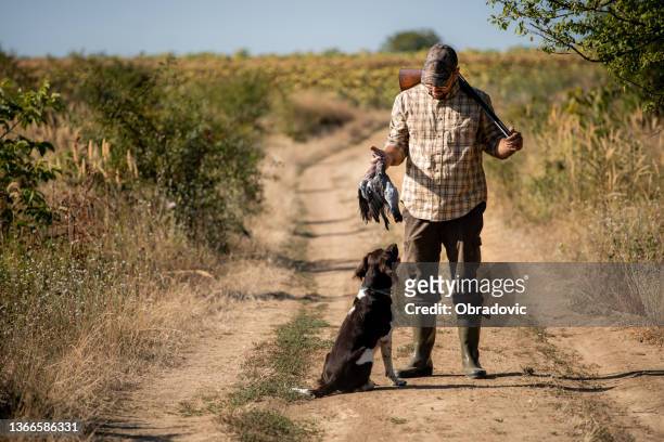 hunter and his dog - pheasant hunting stock pictures, royalty-free photos & images