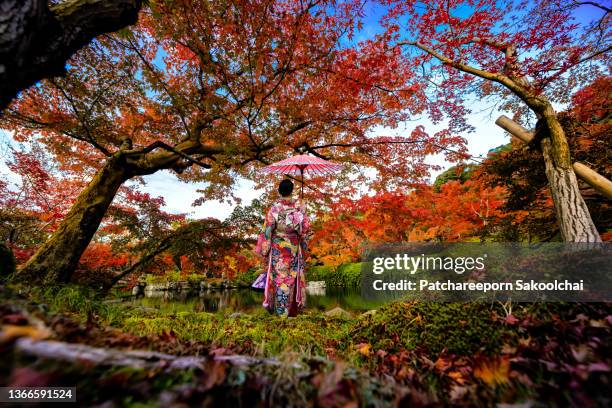 in park of autumn - tokyo temple stock pictures, royalty-free photos & images