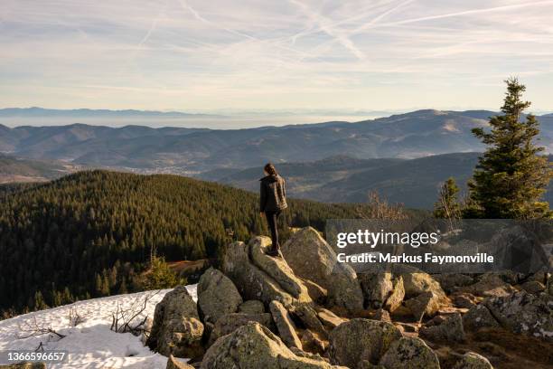 young woman standing in mountain landscape - lotharingen stockfoto's en -beelden