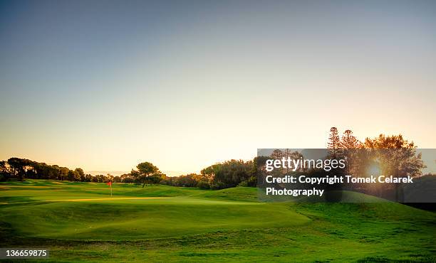 sunset over golf course - golfplatz stock-fotos und bilder