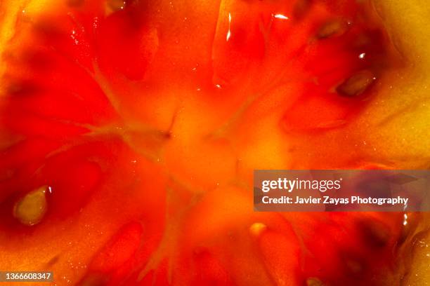 backlit slice of tomato - full frame vegatable stock pictures, royalty-free photos & images