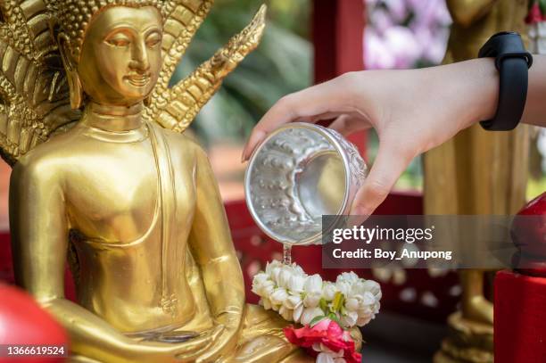 close up of woman hand pouring down scented water to buddha statue in temple during the songkran festival in thailand. - songkran festival stock-fotos und bilder