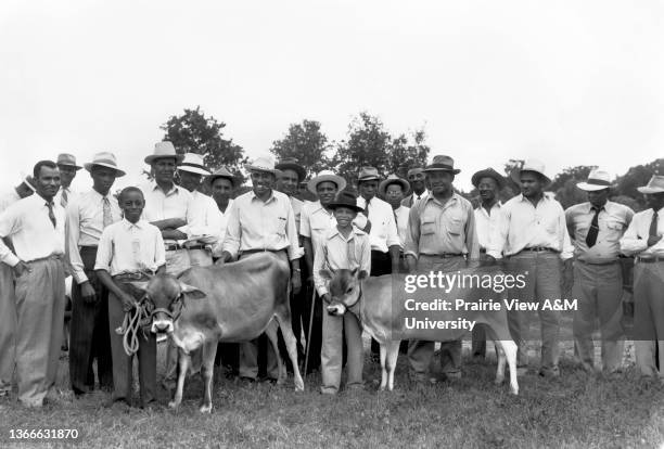 Group of men taking part in the Texas A&M Agrilife Extension, they are holding two cattle.