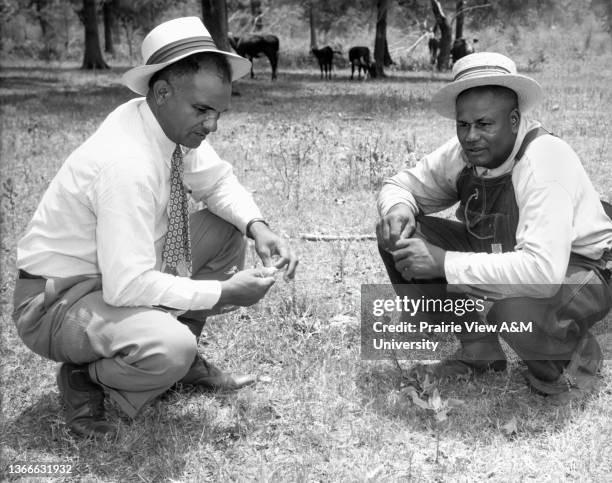Elijah L. Carter, right, who is beginning to develop pastures for the 150 head of cattle on his 1400-acre Midway, Texas farm, is shown getting some...