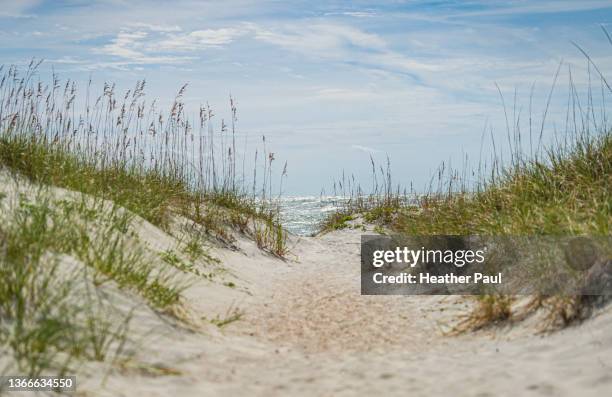 sandy path on the beach leading to the ocean - tybee island stock pictures, royalty-free photos & images