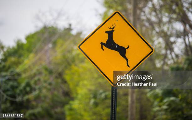 deer crossing caution sign for drivers - deer crossing stock pictures, royalty-free photos & images