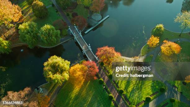 birds eye view of autumnal morning in boston common - boston garden stockfoto's en -beelden