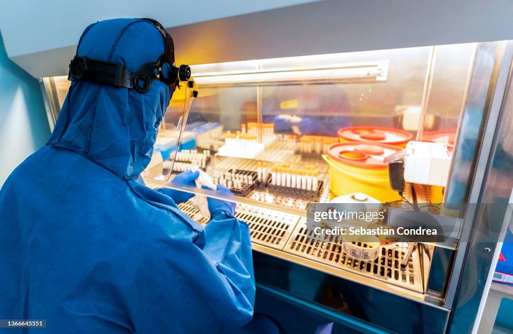 Professional doctor or lab technician testing vibe of novel (new) corona virus in lab, research and testing of the new coronavirus variant, omicron.