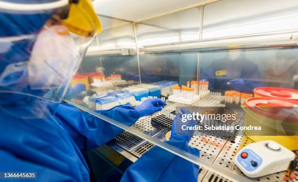 new coronavirus variant, omicron.epidemiologist in protective suit. - stamboom stockfoto's en -beelden