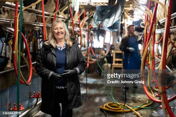 senior businesswoman and dairy worker in farm milking room - femalefocuscollection stock pictures, royalty-free photos & images